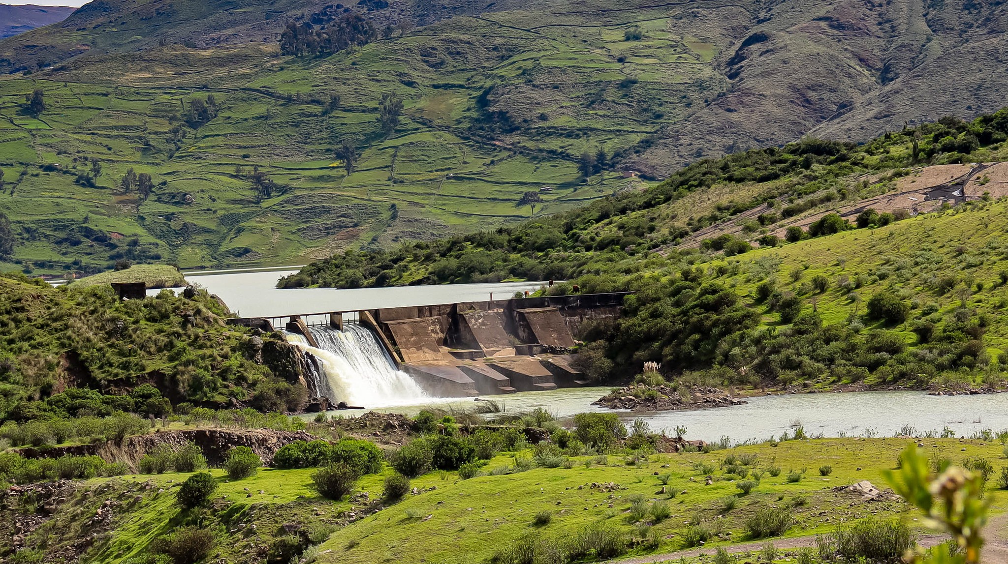 PROYECTO ANCASCOCHA FORTALECERÁ EL RIEGO EN EL SUR AYACUCHO