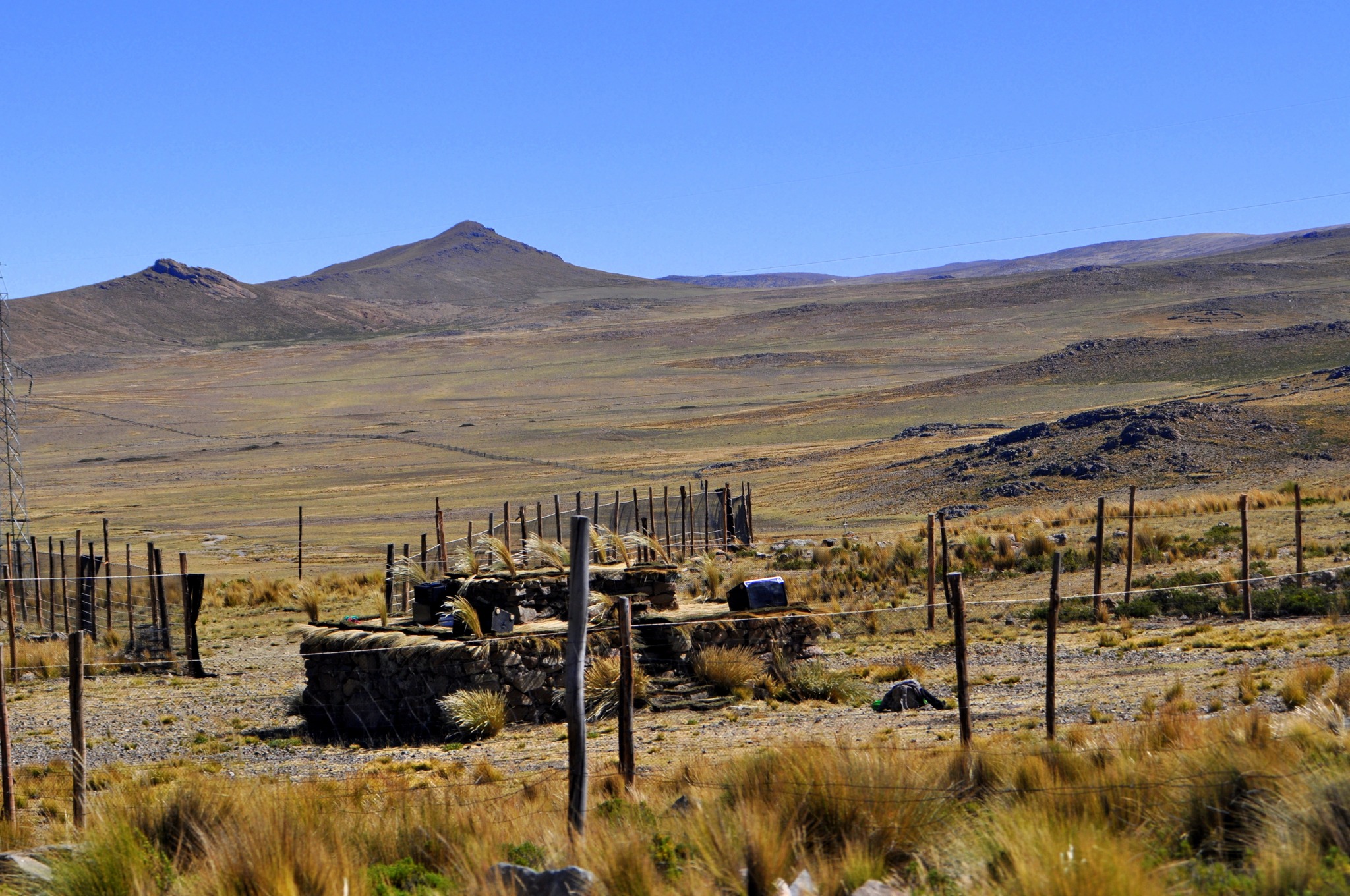 Festival Internacional del Chaccu 2025