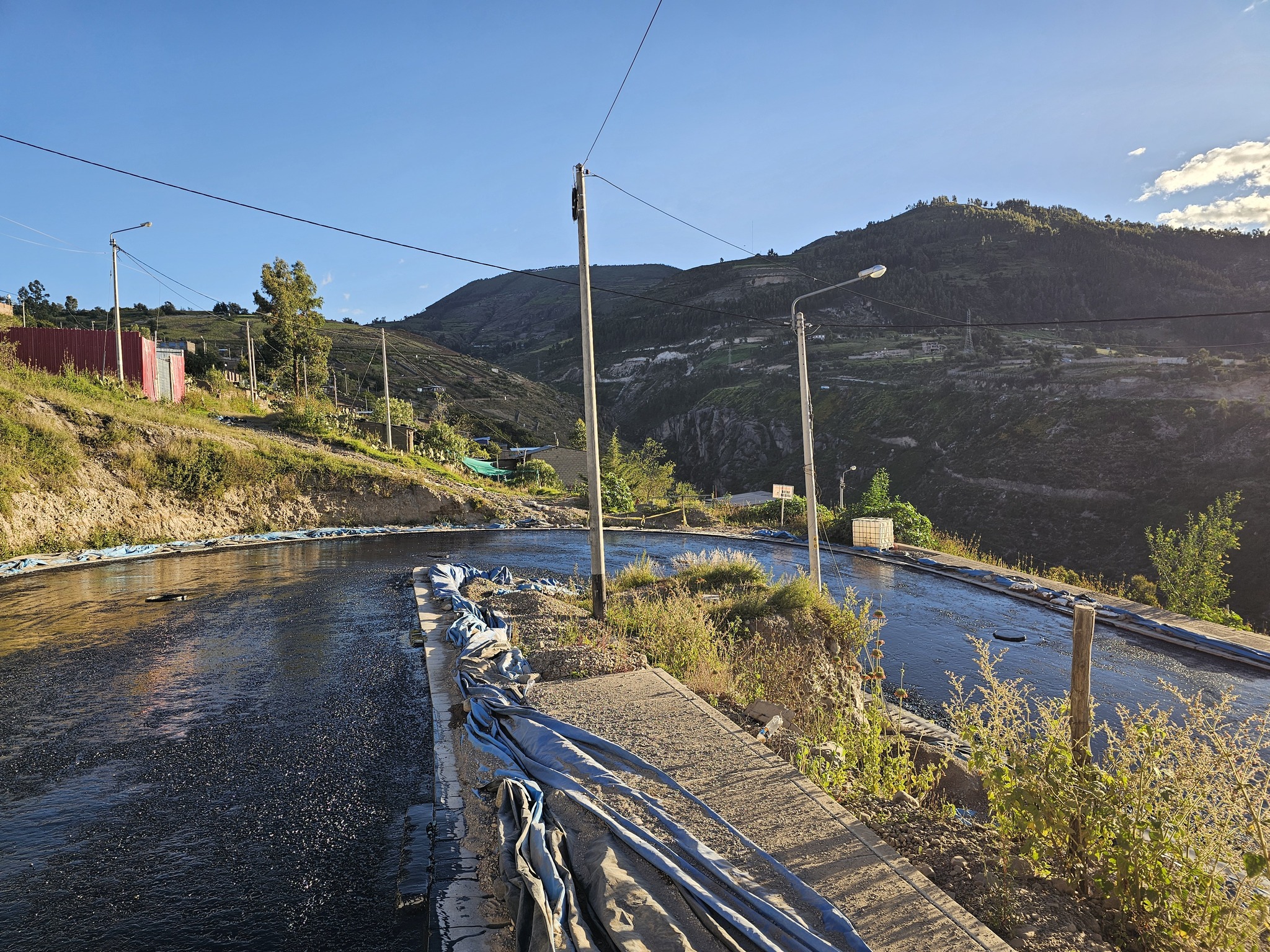 Imagen 6